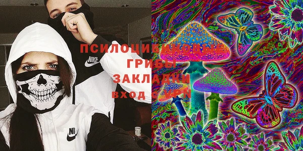 ГАЛЛЮЦИНОГЕННЫЕ ГРИБЫ Алзамай