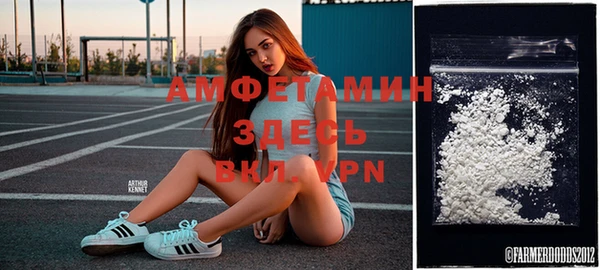 ГАЛЛЮЦИНОГЕННЫЕ ГРИБЫ Алзамай