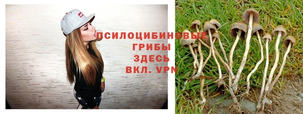 ГАЛЛЮЦИНОГЕННЫЕ ГРИБЫ Алзамай