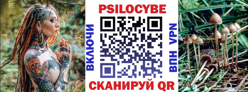 mega сайт  Ачхой-Мартан  Псилоцибиновые грибы прущие грибы  как найти закладки 